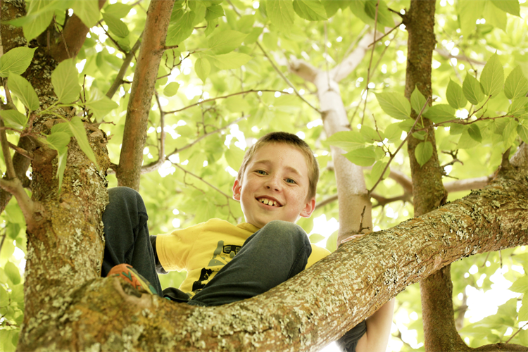 Kind sitzt in einem Baum
