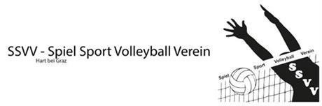 Spiel Sport Volleyball Verein Logo